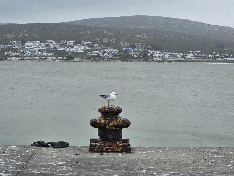 0 Bedroom Property for Sale in Da Gama Bay Western Cape